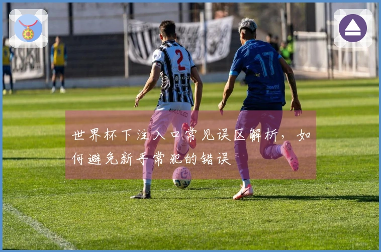 世界杯下注入口常见误区解析，如何避免新手常犯的错误