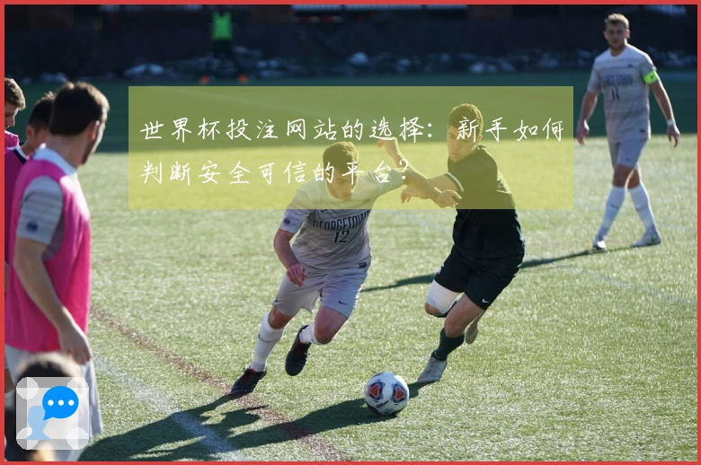 世界杯投注网站的选择：新手如何判断安全可信的平台？