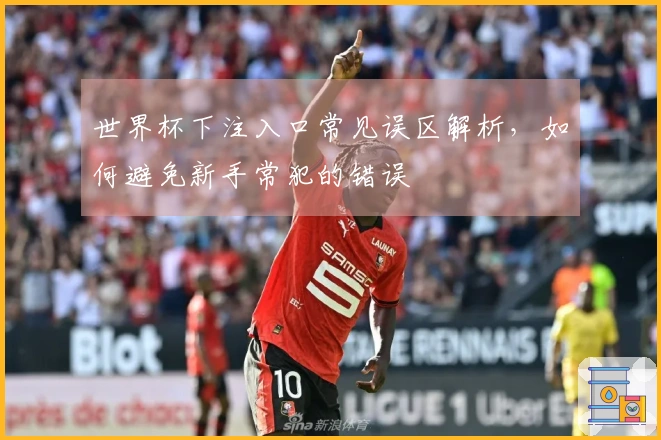世界杯下注入口常见误区解析，如何避免新手常犯的错误